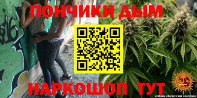 крисы Славгород