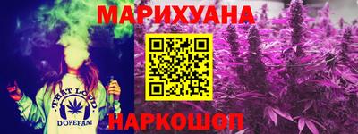 крисы Славгород