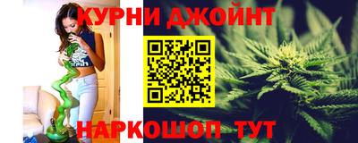 крисы Славгород