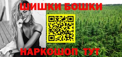 крисы Славгород