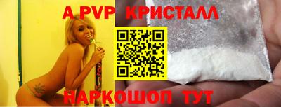 крисы Славгород