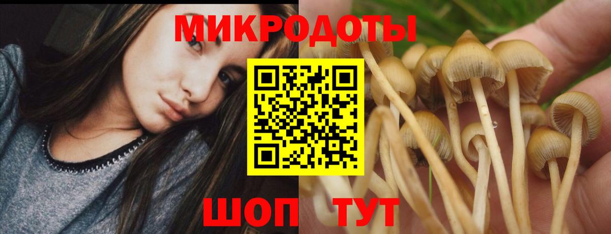 Псилоцибиновые грибы ЛСД  Вход с VPN  Галлюциногенные грибы мухоморы  Брянск 